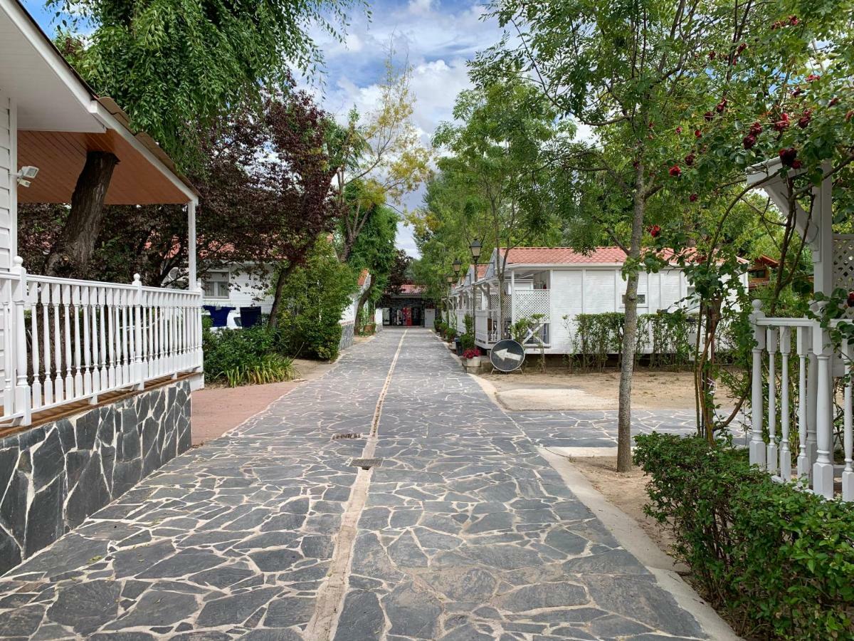 Bungalows & Albergue La Playa Λογκρόνο Εξωτερικό φωτογραφία